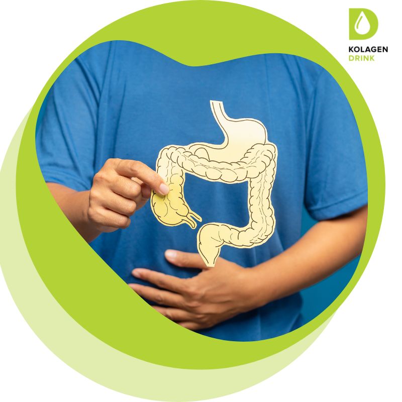 Probiotika kolagendrink